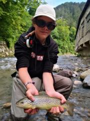 brown trout bistrica